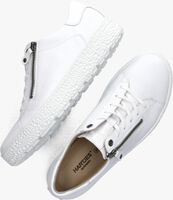 Witte HARTJES Lage sneakers 162.1409 - medium