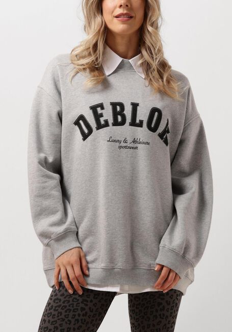 Grijze DEBLON SPORTS Sweater PUCK SWEATER - large